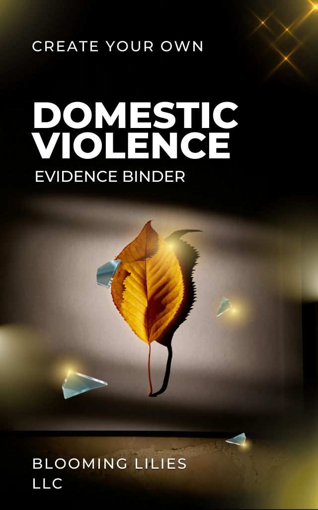 Domestic Violence Evidence Binder System