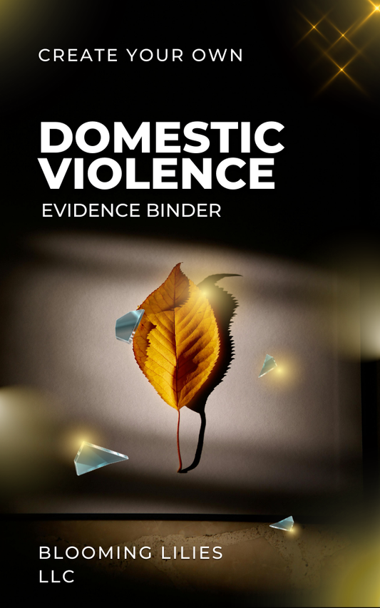 Domestic Violence Evidence Binder System